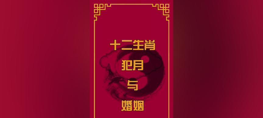 DNF中如何查看婚姻信息?婚姻信息的作用是什么?