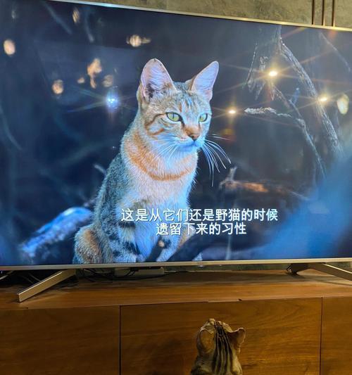 电视机底下的猫柜拆解方法?拆卸时应注意什么?